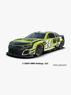 Carrera Nascar Darlington Showdown Racing Racerbane