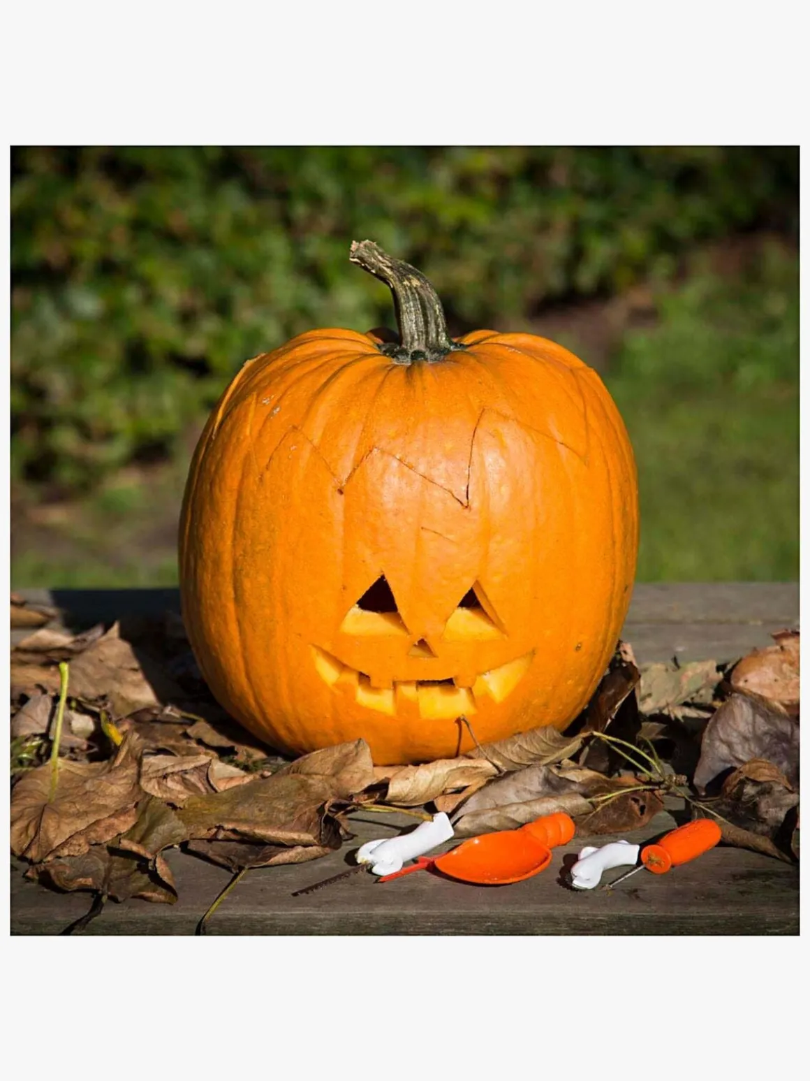 Creativ Company Halloween Græskar Skæresæt