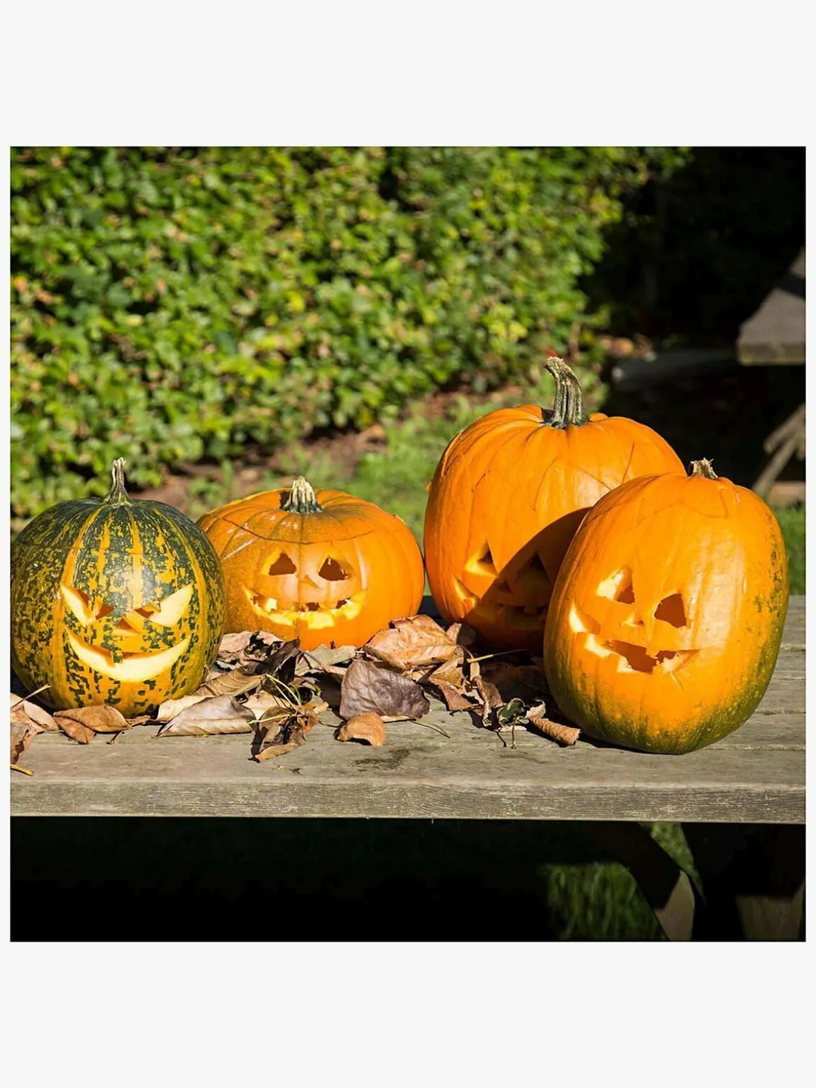 Creativ Company Halloween Græskar Skæresæt