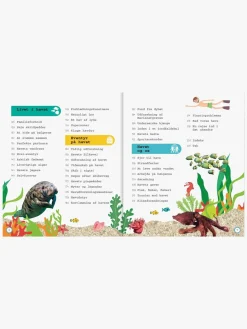 Havet - Leksikon for de yngste