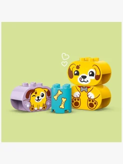 LEGO DUPLO My First 10441 Puttekasse: Hundehus