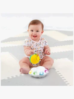 Skip Hop Explore&More Kravlelegetøj, Bi