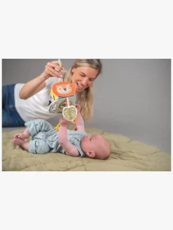 TAF Toys Savannah Discovery Cube