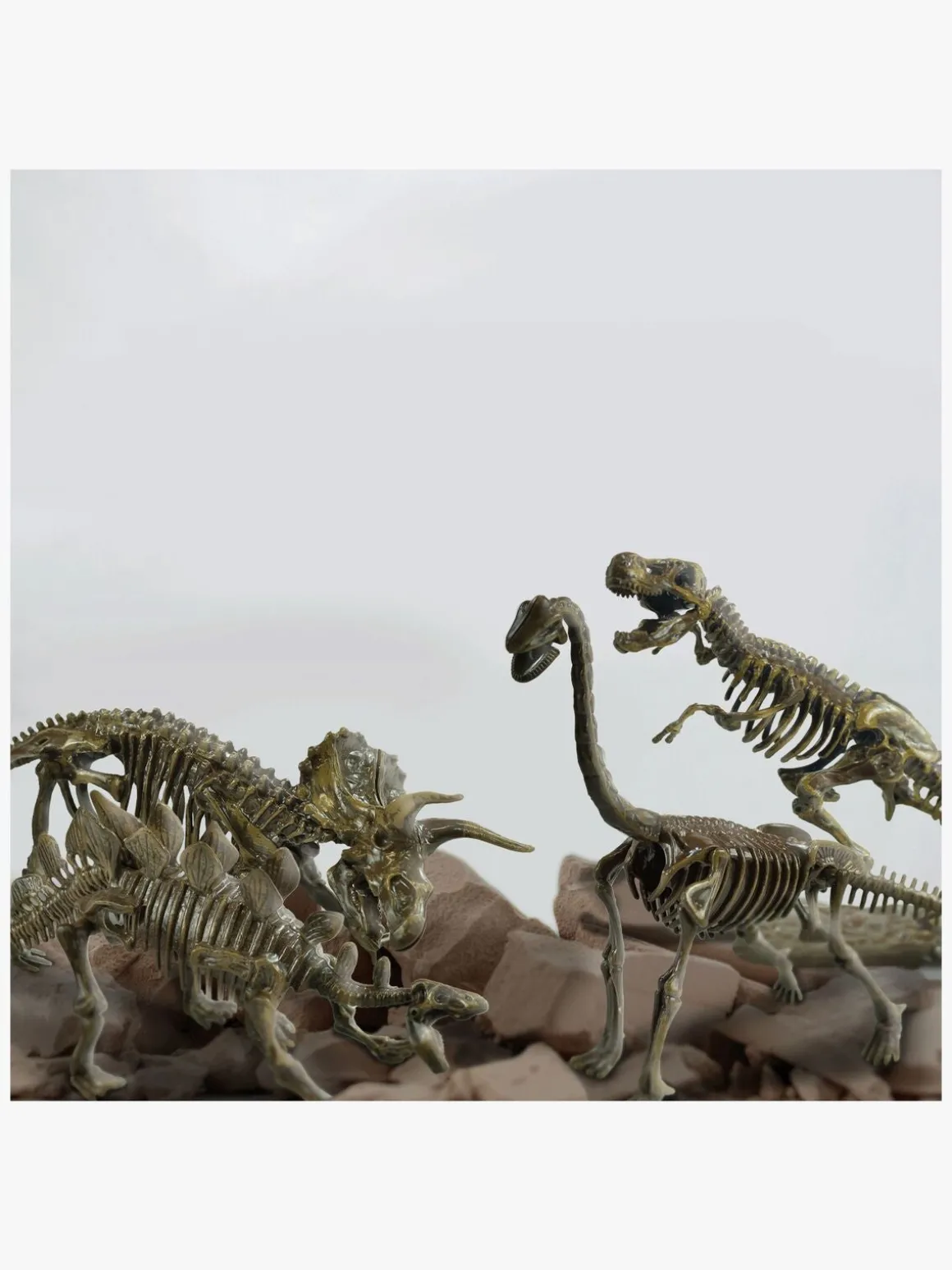 Toyrock Stem Fossil Udgravningssæt 4-i-1